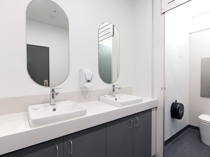 Ambulant toilet amenity with double white vanity basins, pill-shaped mirrors and grey cabinetry.