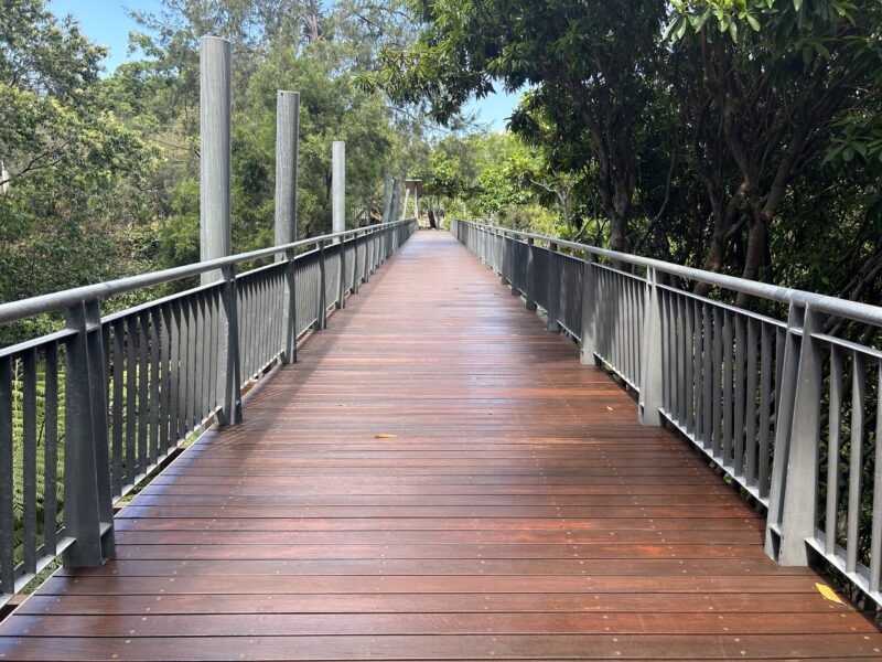 Long straight run of new hardwood decking on the Fern Gully footbridge between grey steel balustrades, with light poles and treetops either side.