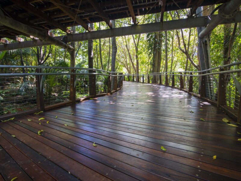 Curving new hardwood deck passing beneath the upper elevated walkway through rainforest planting.