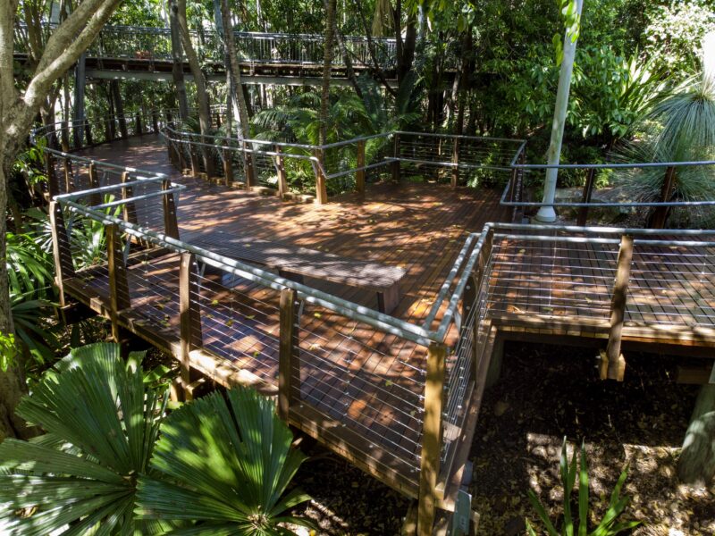 High angle over the switchback deck layout with timber posts, wire balustrades and fan palms.