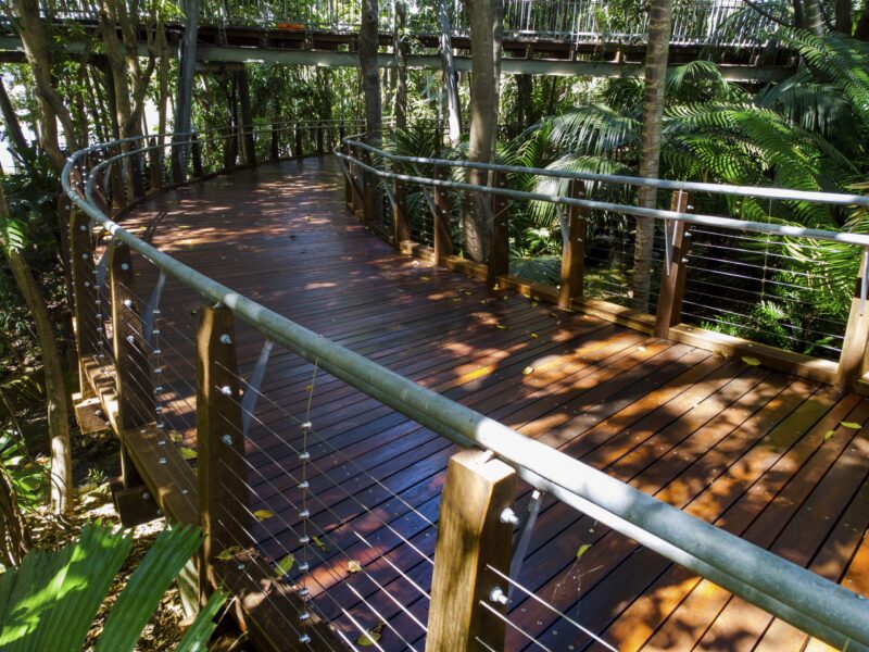 Elevated view of the sweeping curved timber deck with galvanised handrails and wire balustrade among tropical planting.