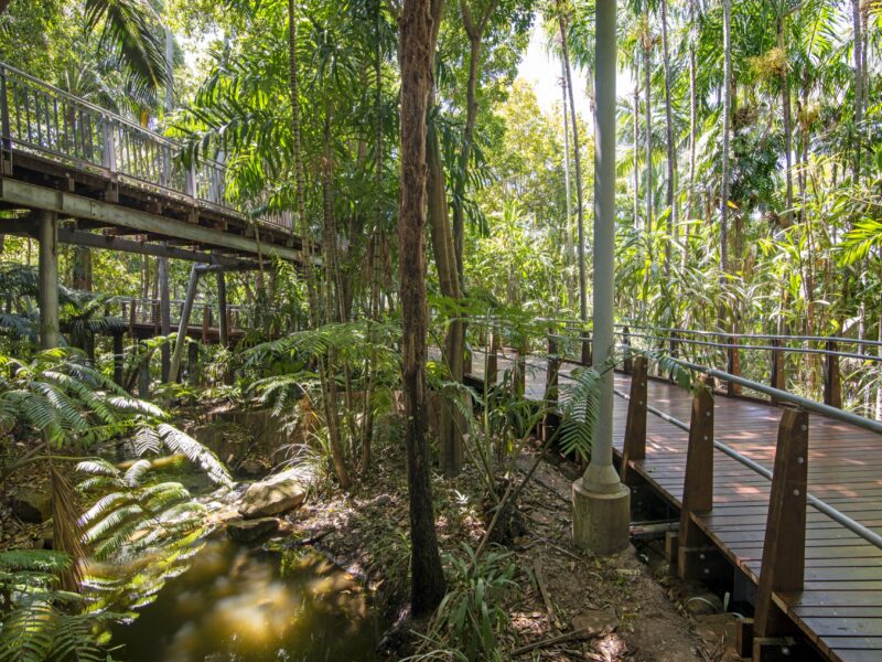 Raised timber walkway beside a fern-lined creek beneath the upper elevated bridge.