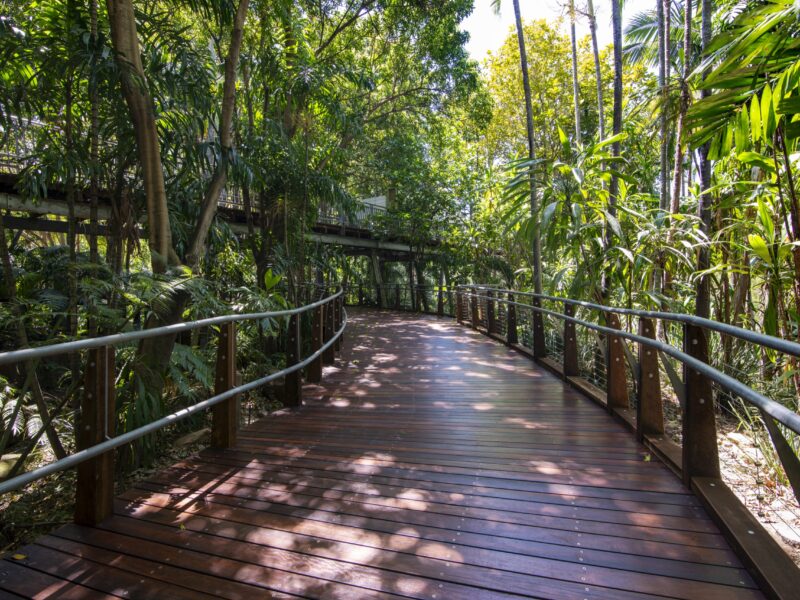 Curving timber deck through bamboo and rainforest with dappled light and the upper walkway visible behind.