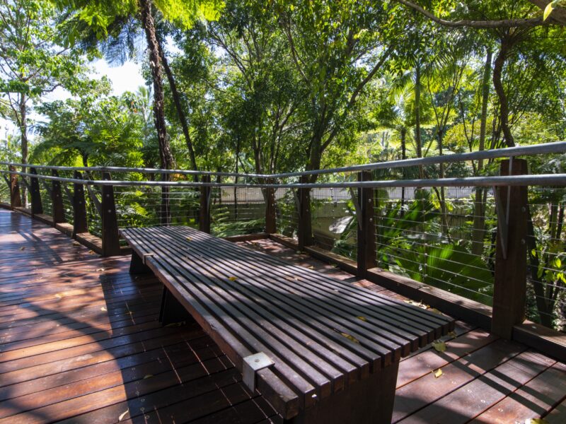 Built-in hardwood bench seat on the deck landing amid dappled rainforest shade.