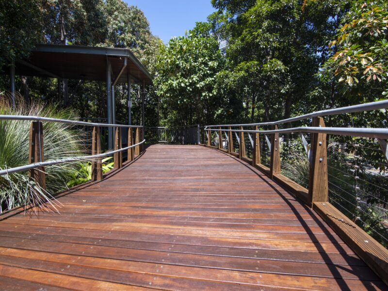 Sunlit section of new deck leading to the shelter, framed by grass trees and blue sky.