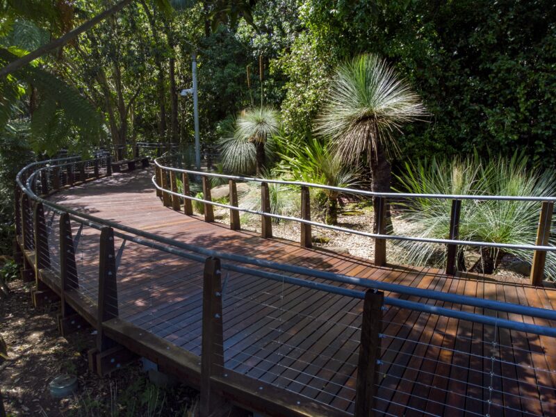 Curved deck section bordered by grass trees and native planting.