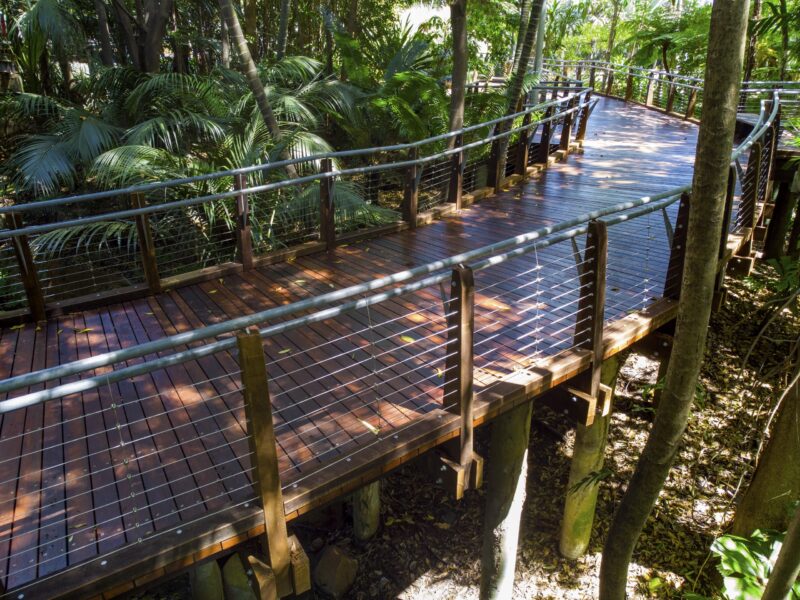 Raised deck on timber posts and footings winding through palms, showing the substructure.